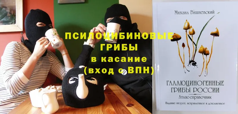 Псилоцибиновые грибы GOLDEN TEACHER  где купить   Гагарин 